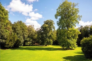 Un parc amb una zona verda i arbres.