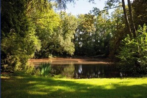 Exterior - Château d'Elbeuf-en-Bray (Elbeuf-en-Bray)