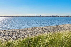 A beach with a clear view of a distant city skyline, including a prominent tower.