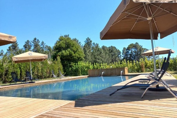 Seasonal outdoor pool, pool umbrellas, sun loungers