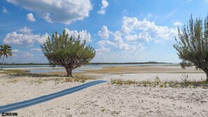 Een strand met een heldere lucht, twee grote bomen en een zandpad.