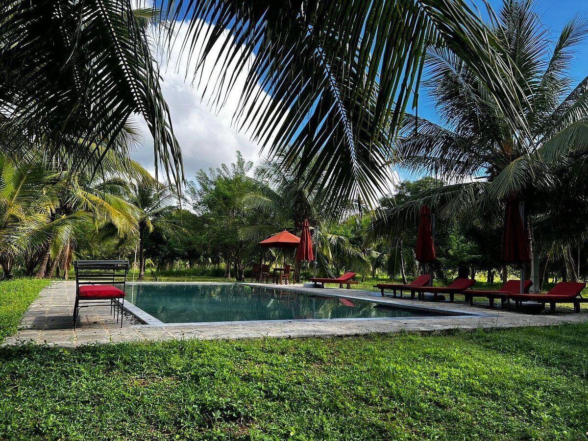 Una piscina al aire libre, sombrillas, sillones reclinables de piscina