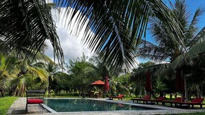 Una piscina circondata da palme e lettini rossi.