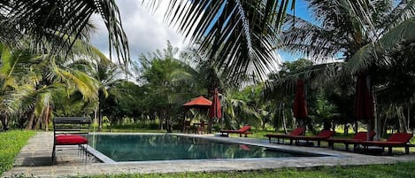 Piscine extérieure, parasols, chaises longues