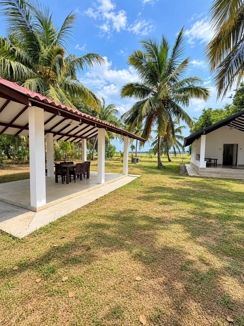 A covered outdoor seating area with tables and chairs, surrounded by palm trees and a clear sky.