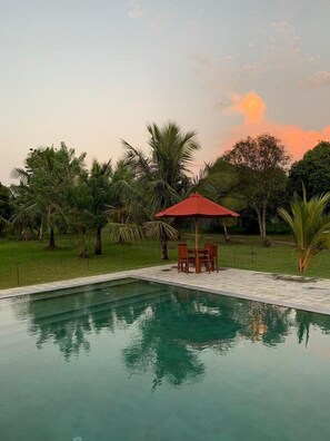 Outdoor pool, pool umbrellas, pool loungers - Governors Camp Wilpattu (wilpattu)