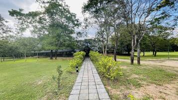 Jardim