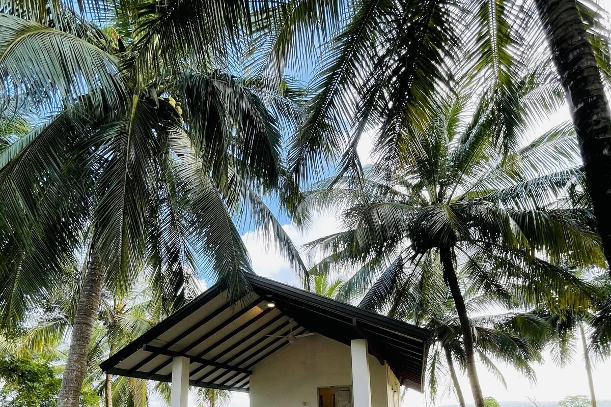 Deluxe Double Room, Patio, Garden View | Front of property