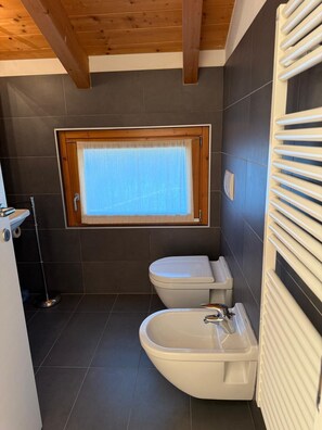 Shower, hair dryer, bidet, soap