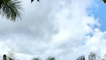 Zona de jocs infantil: a l'aire lliure