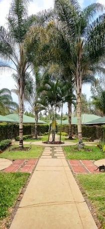 Garden view. Trotters Hotel