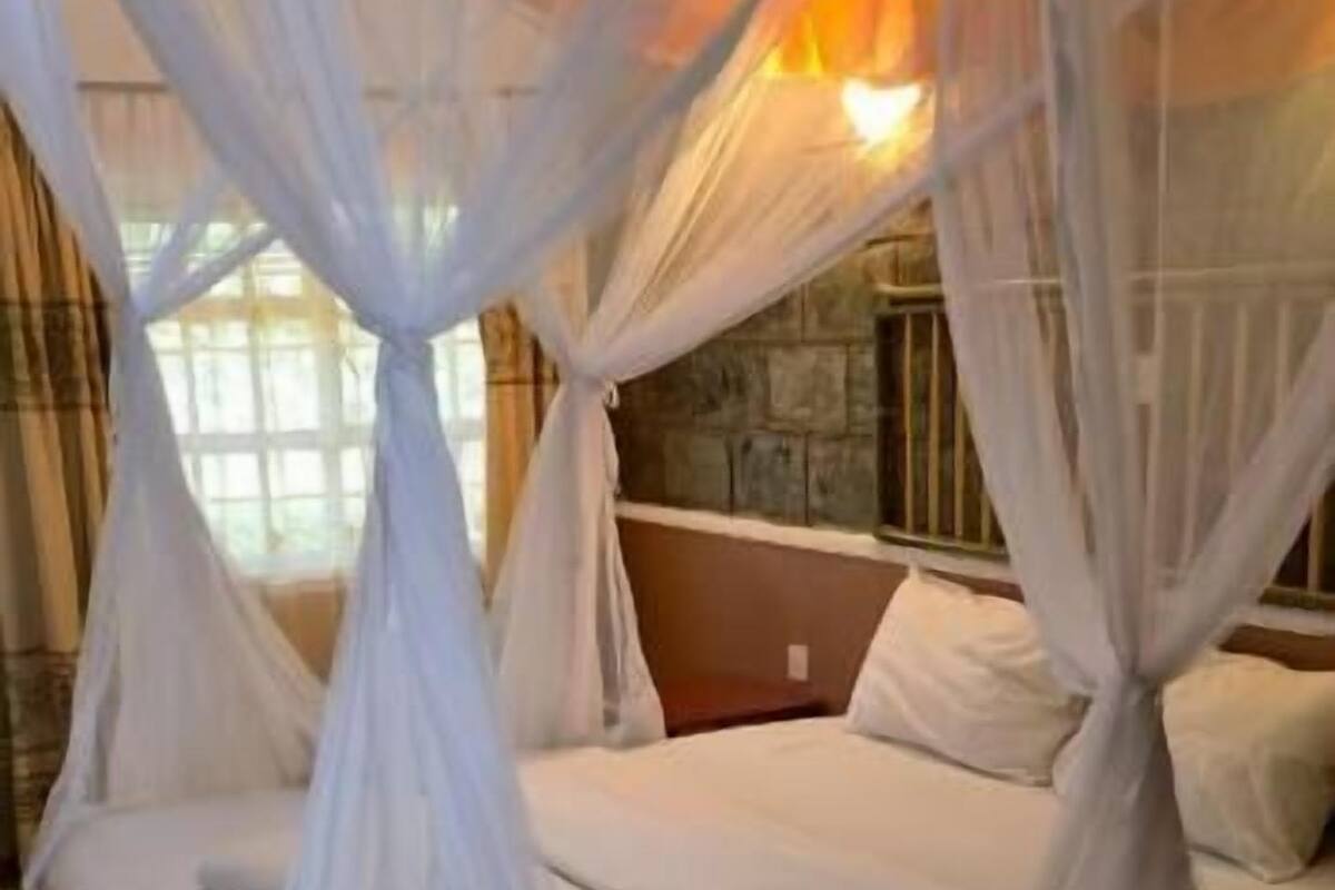 Habitación doble Deluxe, vista al jardín | Escritorio y espacio para trabajar con laptop