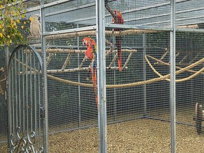 A birdcage with metal bars and wooden perches. - Cozy lodging for 4 with heated pool and wellness (La Flèche)
