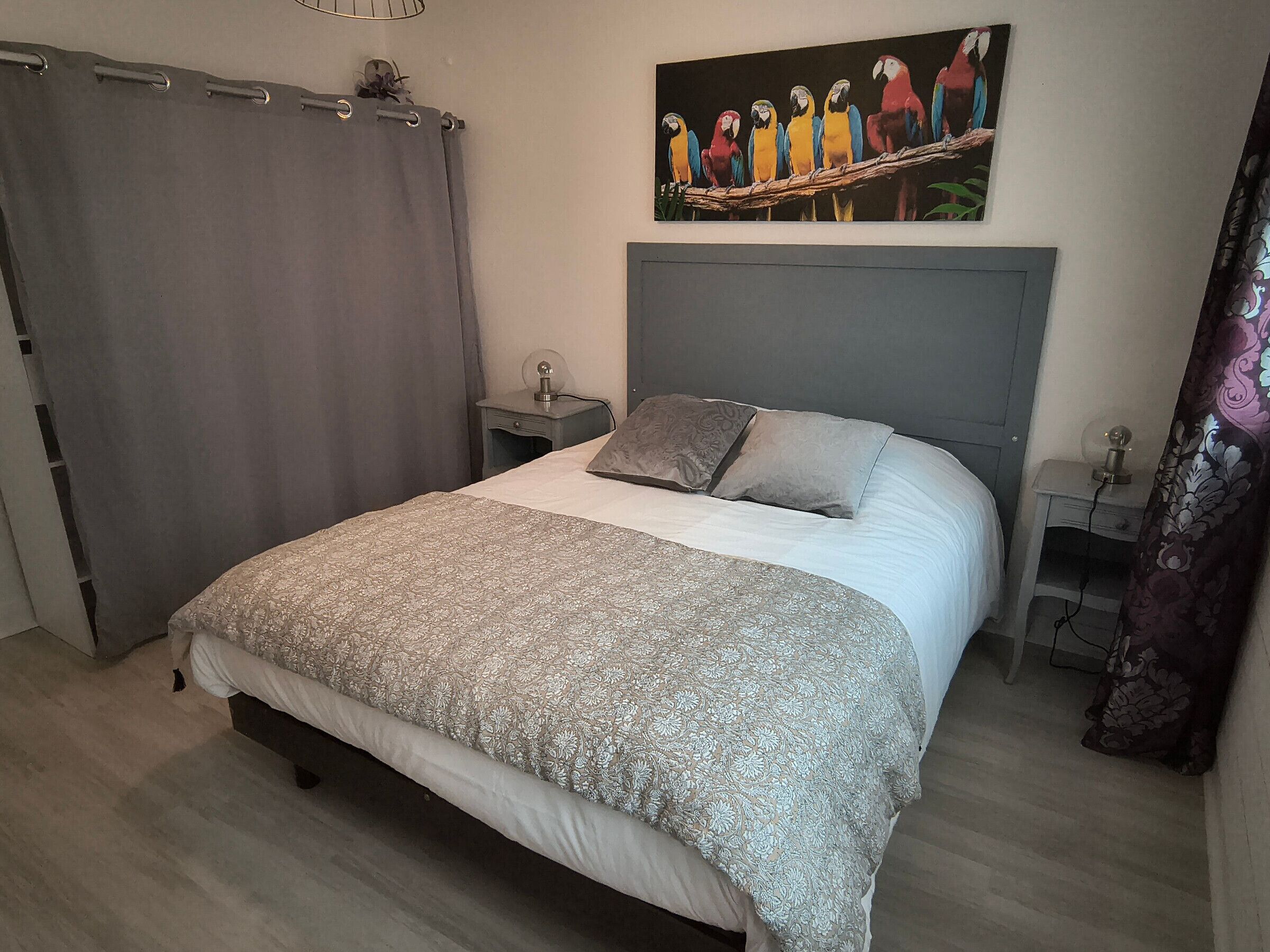A bedroom with a bed, a nightstand, a lamp, a painting of parrots, and a curtain.