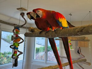 Interior - Cozy rental on 2nd floor with pool near the zoo (La Flèche)