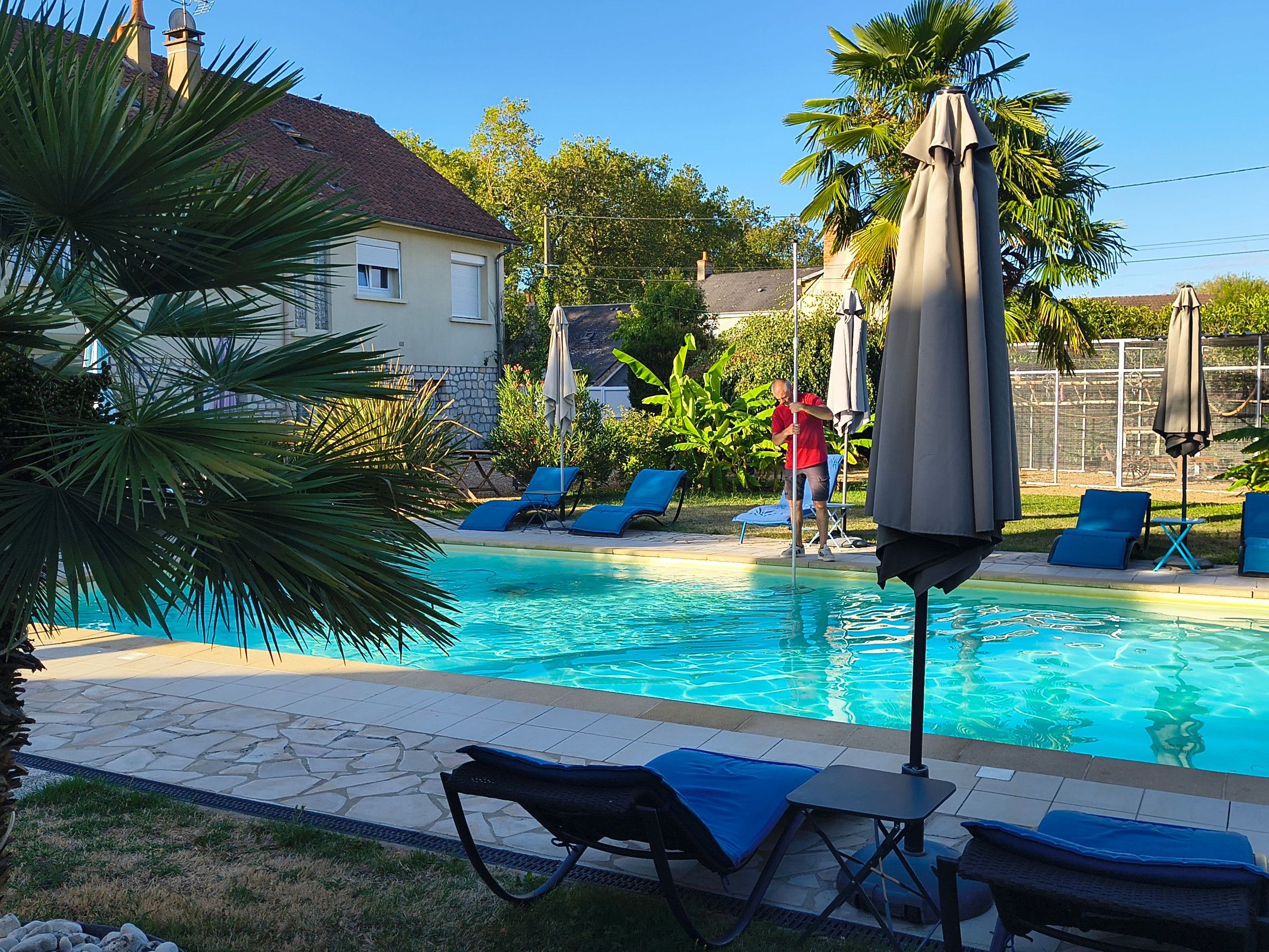 Une piscine entourée de verdure et d’une maison, avec des chaises longues et des parasols.