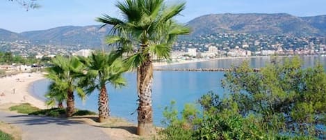 Ubicación cercana a la playa