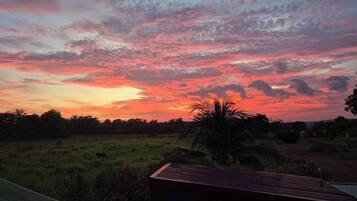 Departamento, 1 habitación, patio, vista al jardín | Áreas de la propiedad