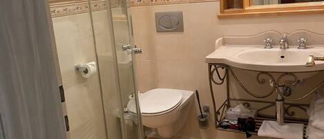 A bathroom with a glass shower enclosure, a toilet, a sink with a vanity, and a mirror above the sink.