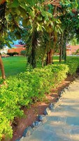 Jardín