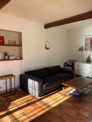 Televisión, chimenea y libros 