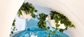 Vinny's Relais - Deluxe rooms & Suite