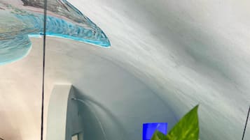 Passion Suite (con piscina ad uso esculsivo) | Caja fuerte y wifi gratis