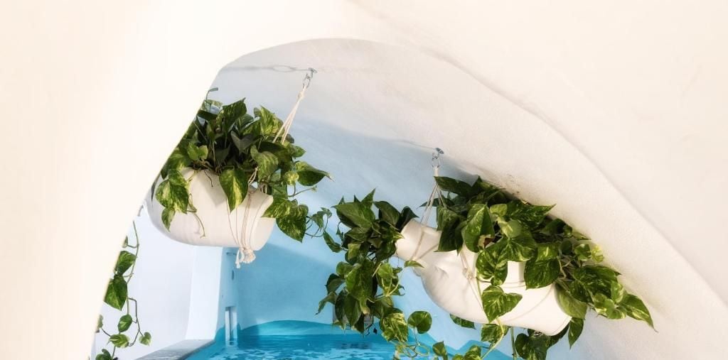Area piscina con fioriere sospese e logo del Vinny's Relais Deluxe Rooms & Suite.