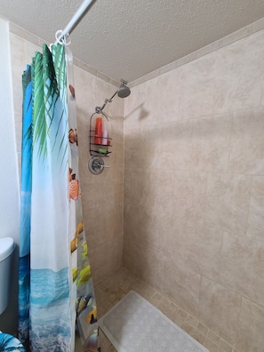 Dusche, Haartrockner, Handtücher, Seife