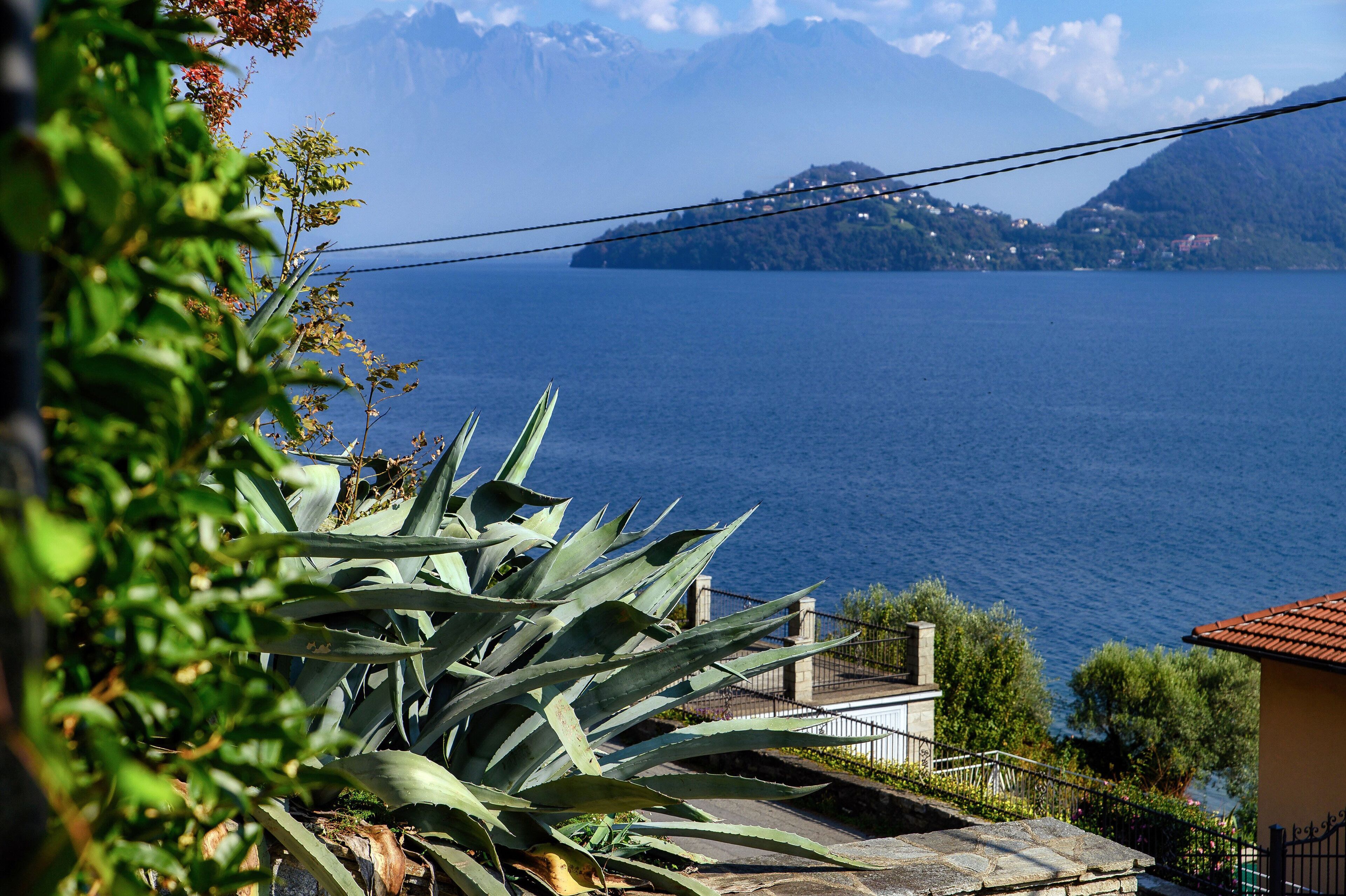 Quang cảnh nhìn từ nơi lưu trú