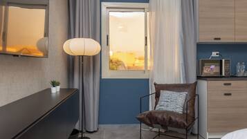 Minibar, iron/ironing board, free WiFi