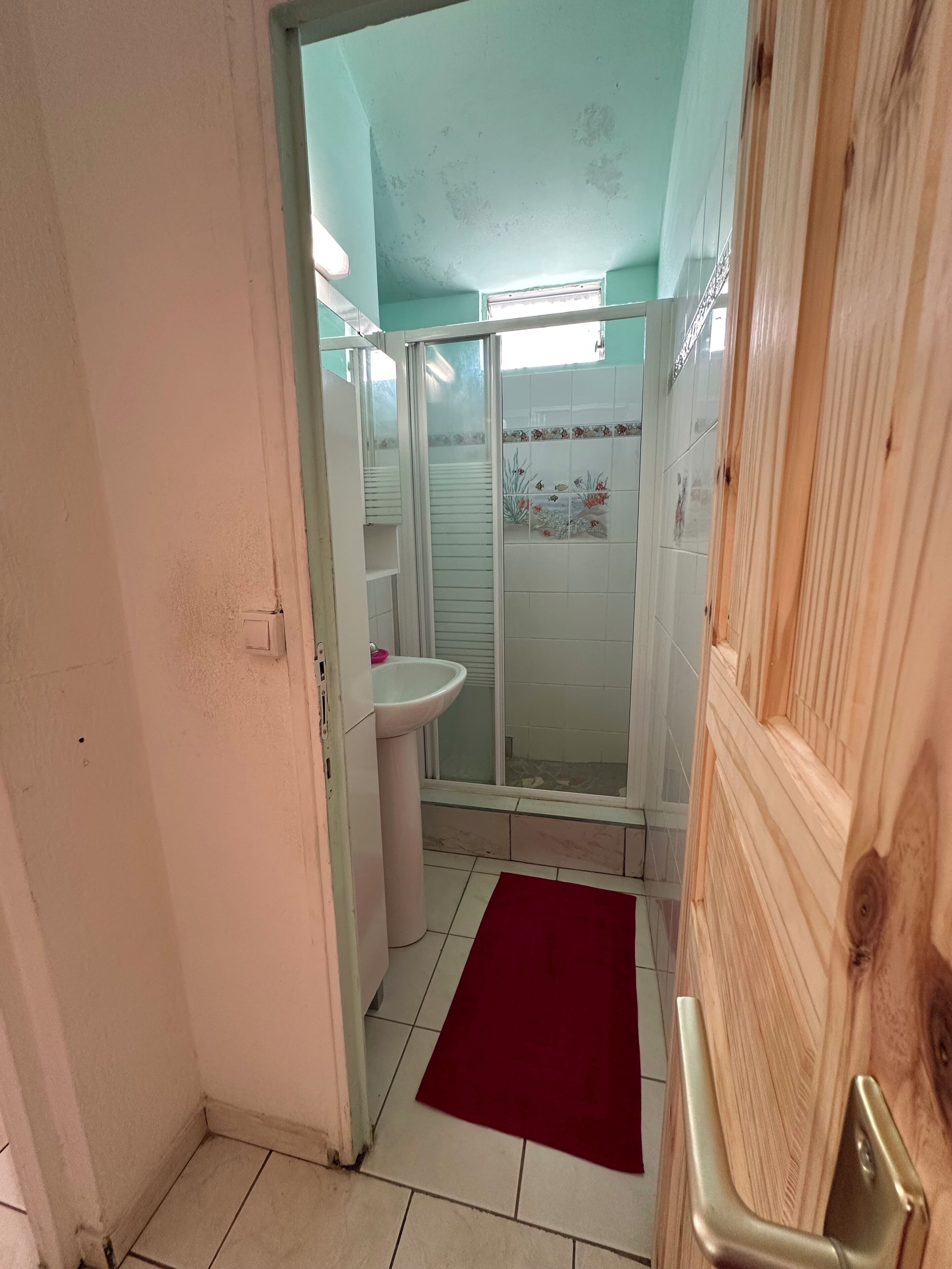 Douche, sèche-cheveux, serviettes fournies, savon