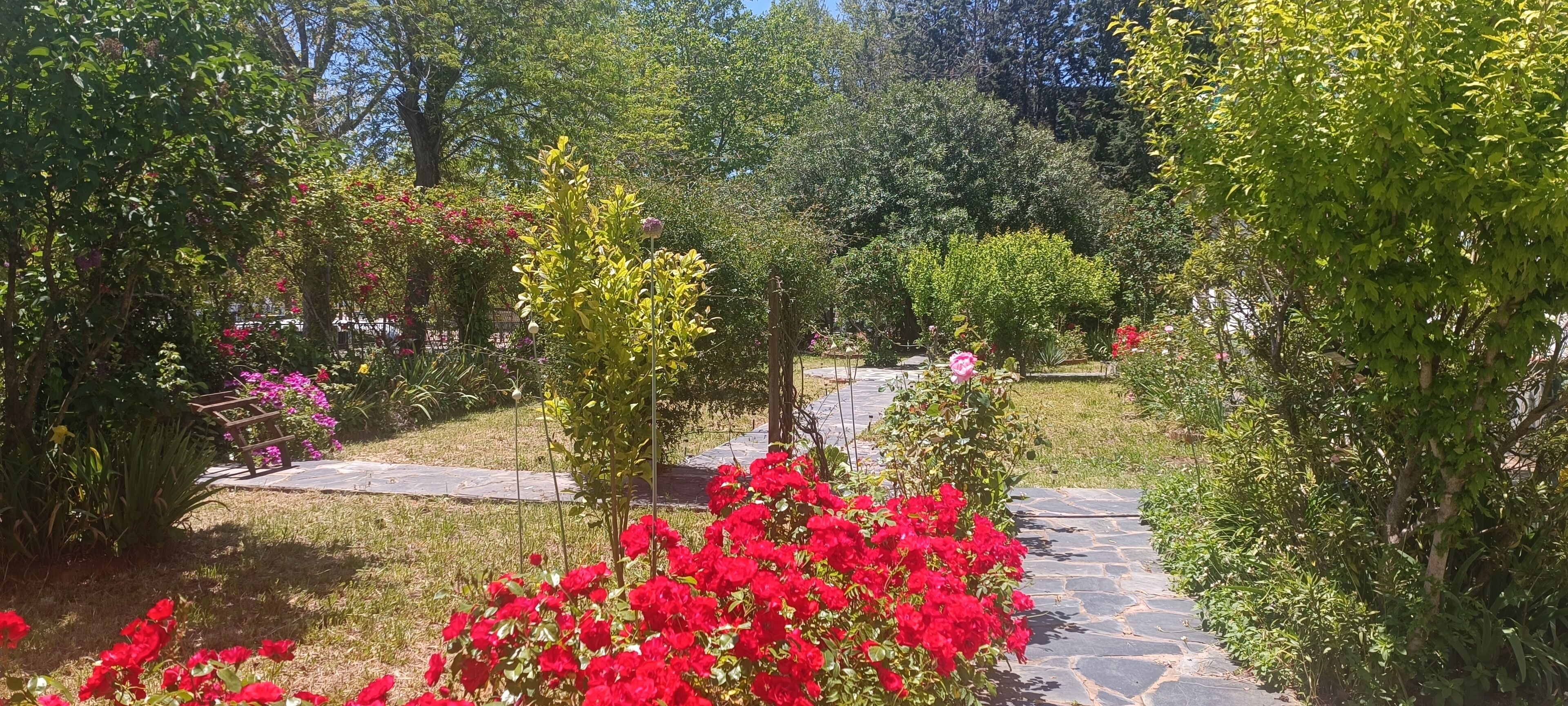 Jardines del alojamiento