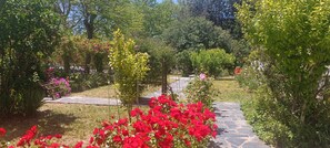 Jardines del alojamiento