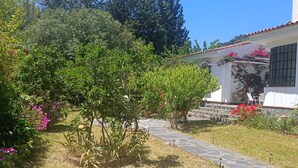 A white house with a tiled roof, a stone pathway, and a garden with various plants and flowers. - Esperanza's little house (Aracena)