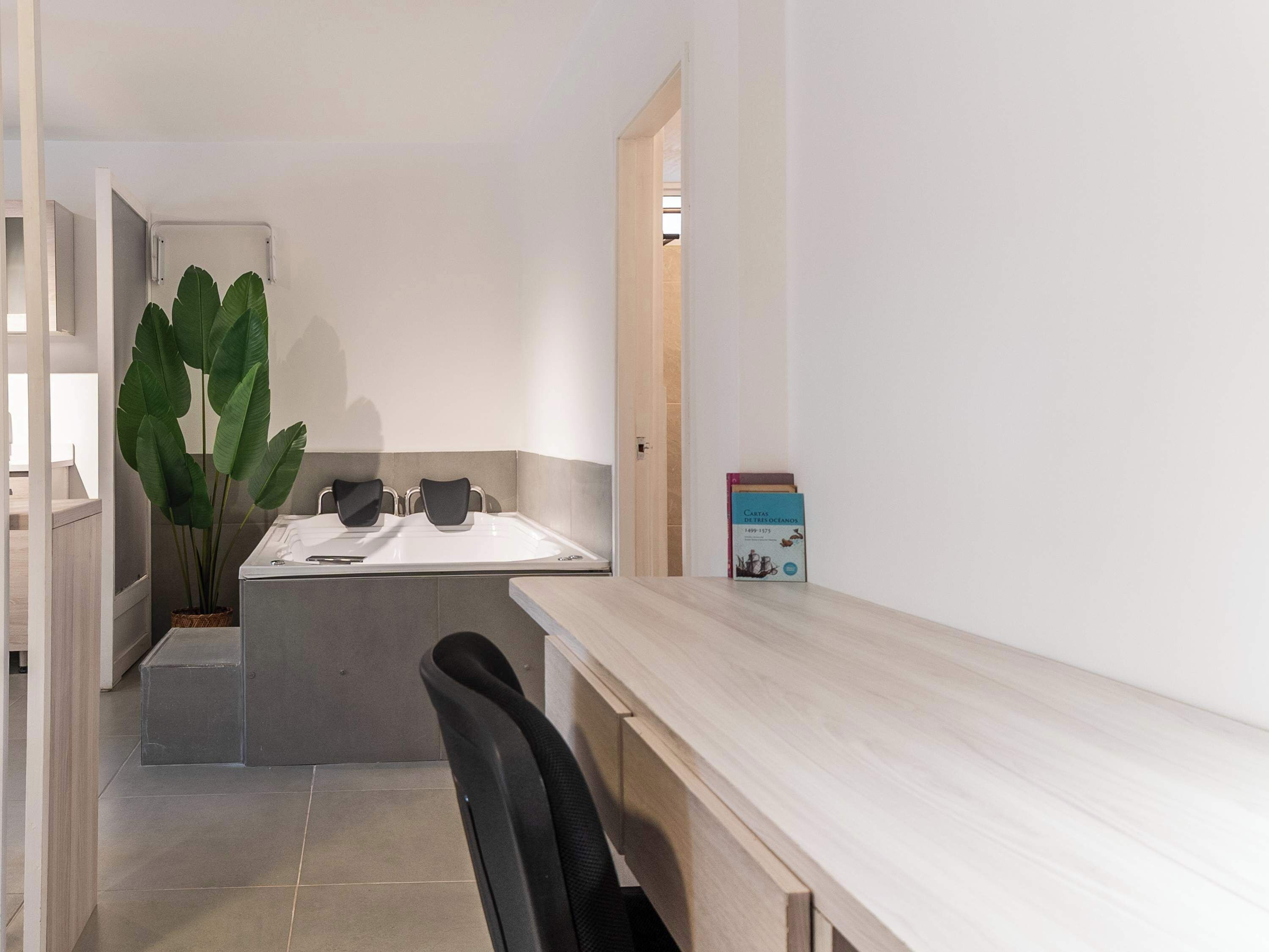 Un baño moderno con ducha, lavamanos y una planta grande en maceta.