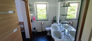 Shower, hair dryer, towels