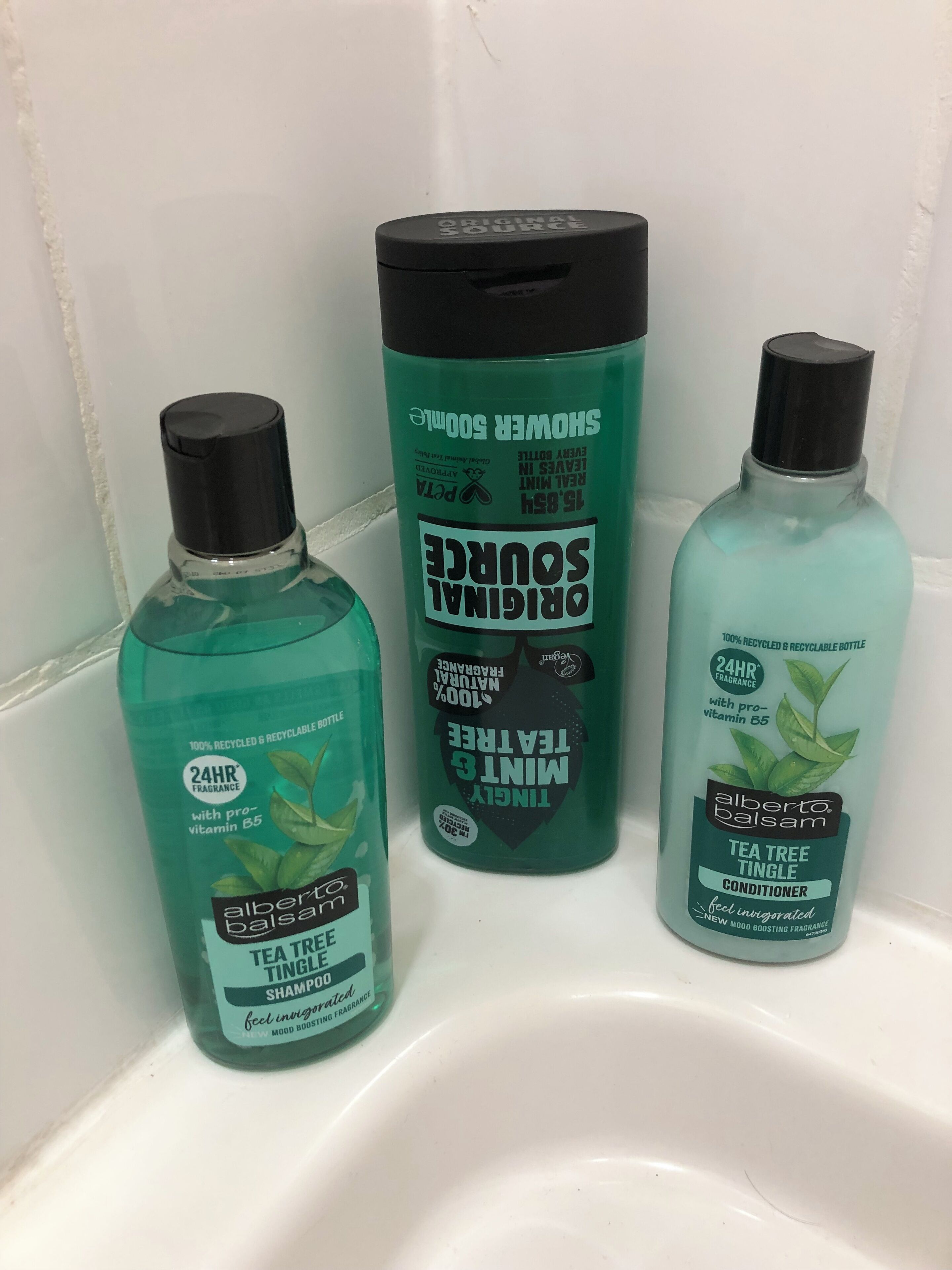 Hair dryer, towels, toilet paper