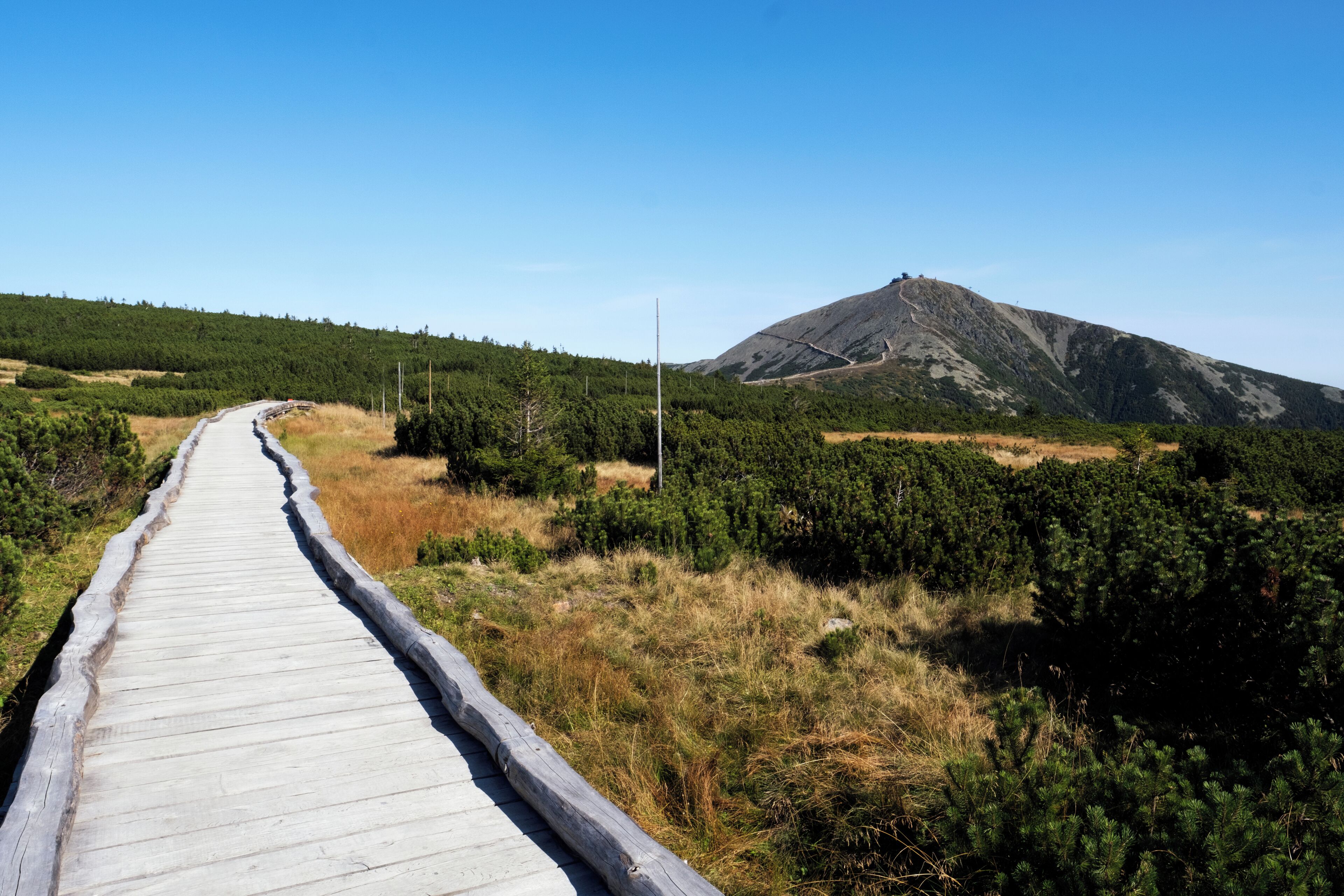 A wooden boardwalk leading towards a mountain.