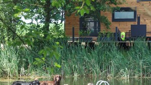A wooden dock extending into a body of water with tall grass on either side. - Ab 1 Person: Rittergut mit Kamin, Fasssauna und mehr Nähe Sächsische Schweiz Dresden (Großharthau)