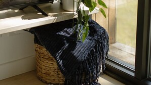 A room with a window, a plant, a woven basket, and a blanket.