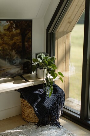 Une pièce avec une fenêtre, une plante, un panier en osier et une couverture.