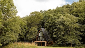 Une cabane au cœur d’une forêt, dotée d’un toit triangulaire et d’une terrasse en bois.