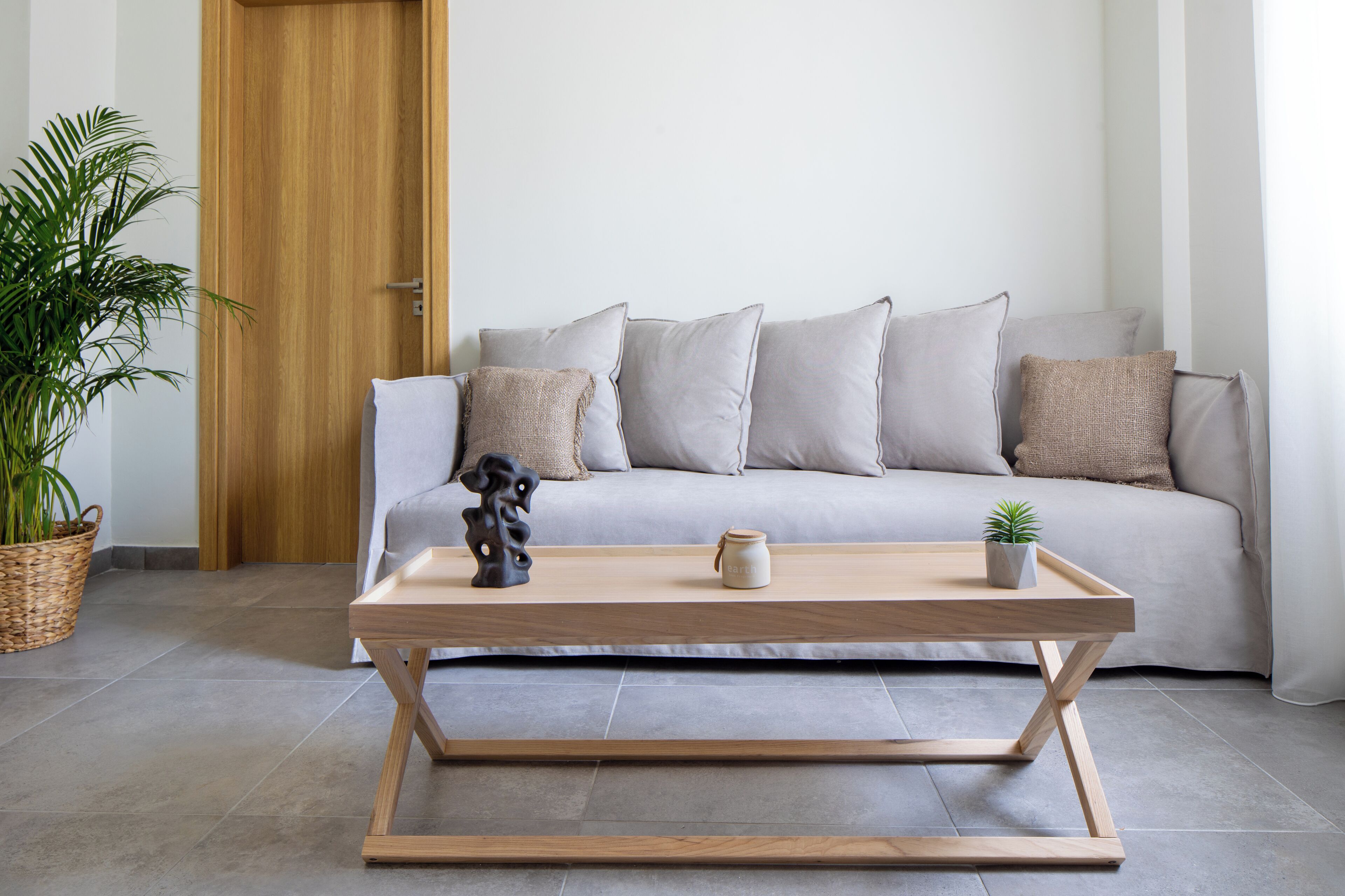 A modern living room with a grey sofa, a wooden coffee table, and a potted plant.