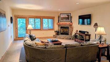 Télévision, cheminée, lecteur de DVD