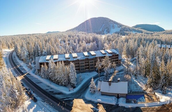 A lodge with multiple buildings surrounded by a snowy forest, accessible by a winding road.