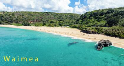 NEW!!! Island Sophistication, Beachfront Serenity w/ Hot Tub, Firepit and A/C