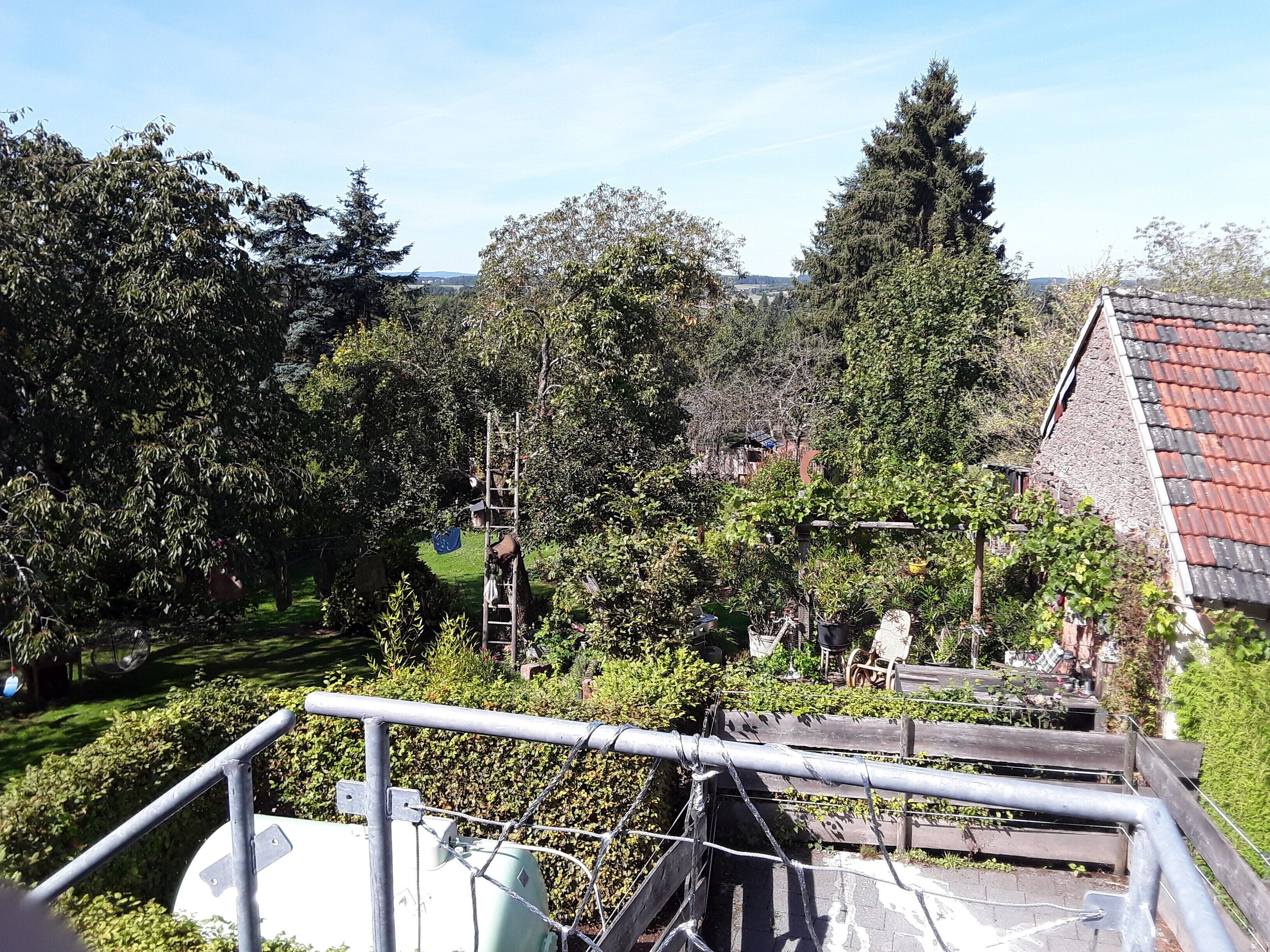 Un giardino con una recinzione in metallo, una scala e un oggetto verde.