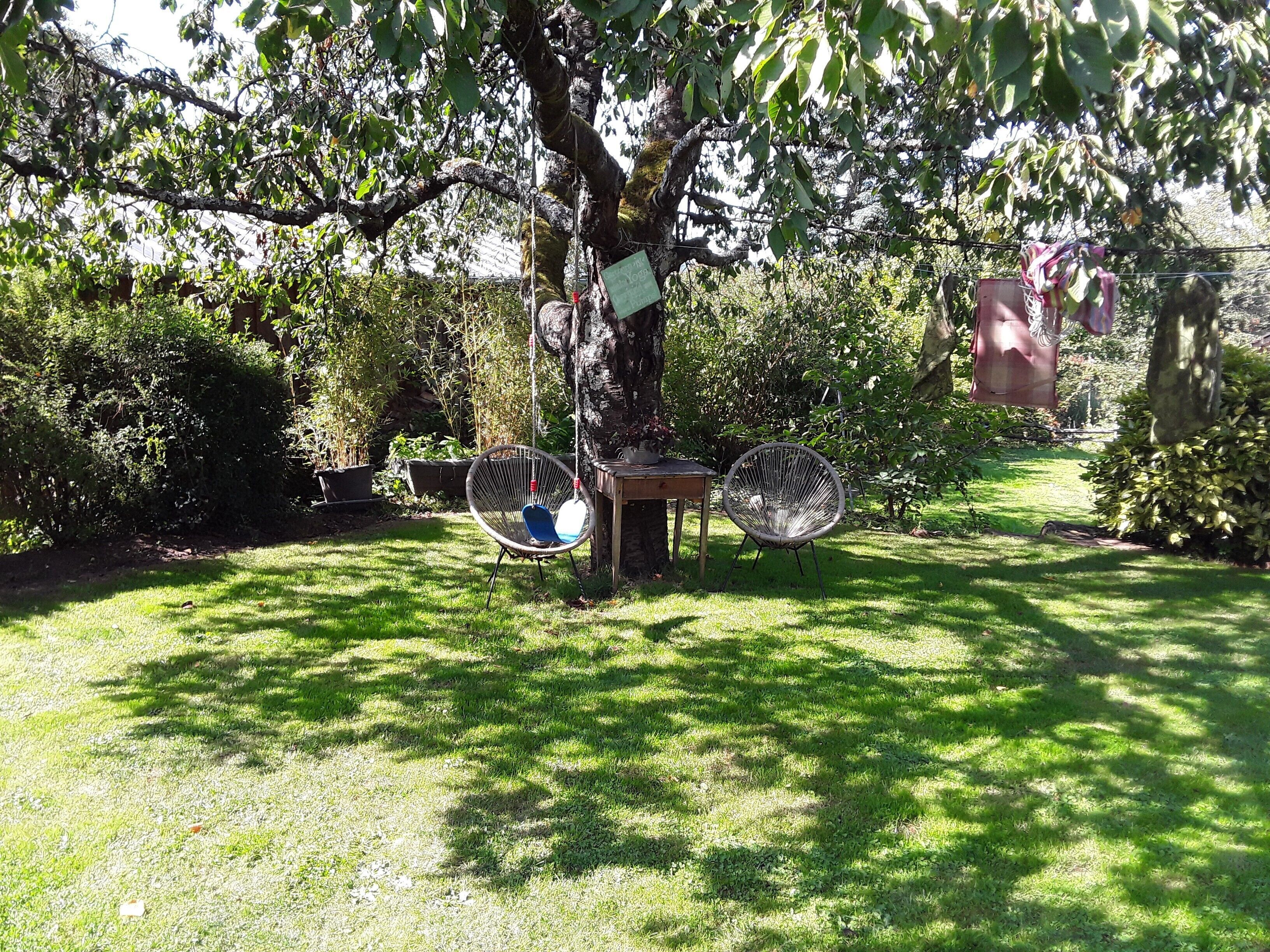 Ein Garten mit Baum, zwei Stühlen, einem Tisch und einer Wäscheleine.