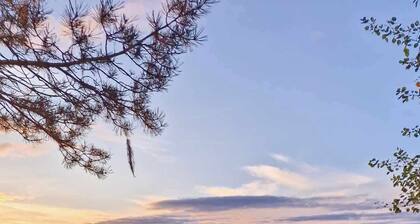 Stuga Björn - Quiet cabin at lake Edesjön